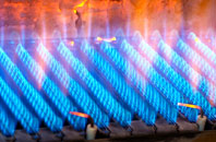 Llansoy gas fired boilers